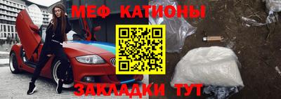 шишки Славгород