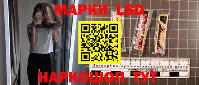 шишки Славгород