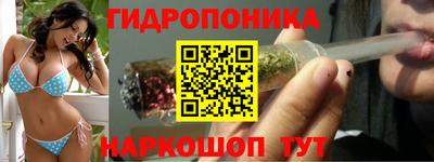 шишки Славгород