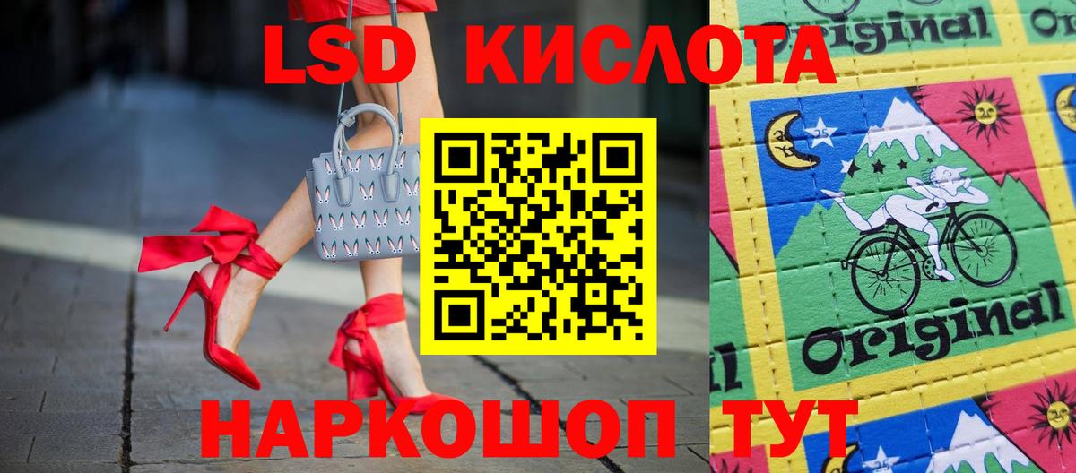 Альфа ПВП Новодвинск
