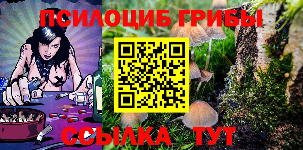 Галлюциногенные грибы Magic Shrooms  Псилоцибиновые грибы GOLDEN TEACHER  Новодвинск  Вход с VPN 