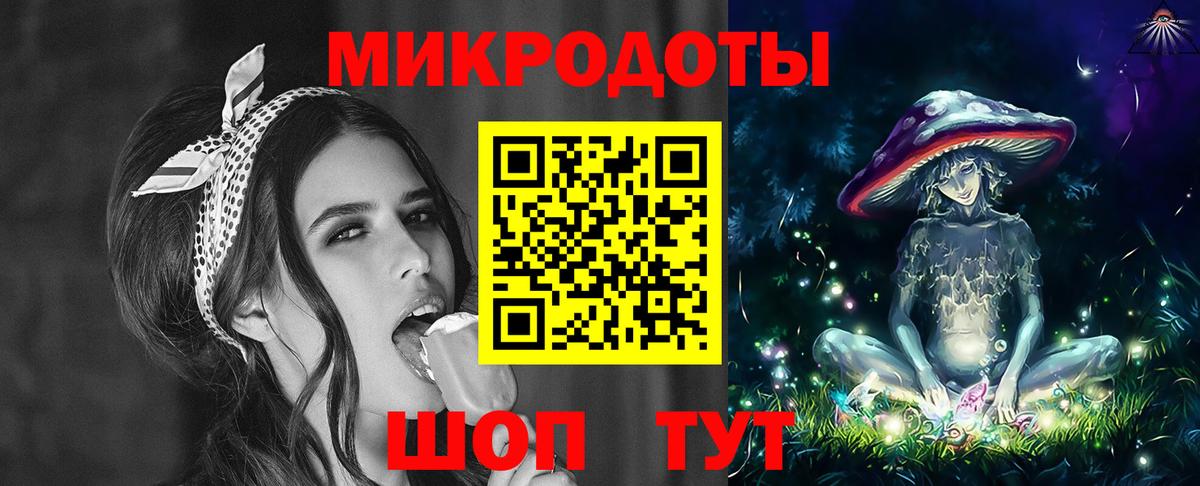 Псилоцибиновые грибы Psilocybe Новодвинск